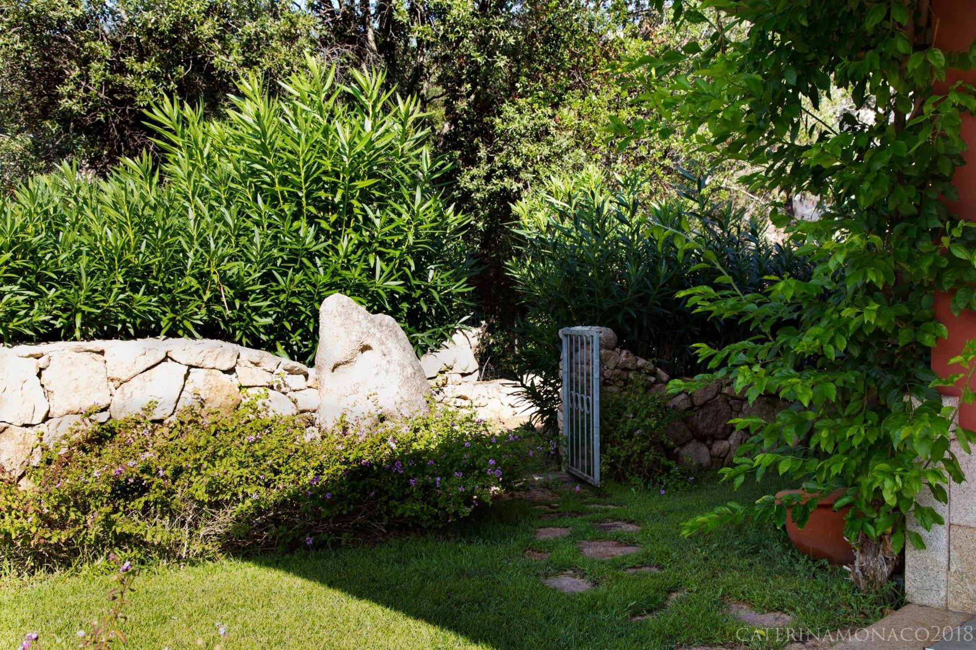 Casa Magnolia San Pantaleo Villa Exterior photo